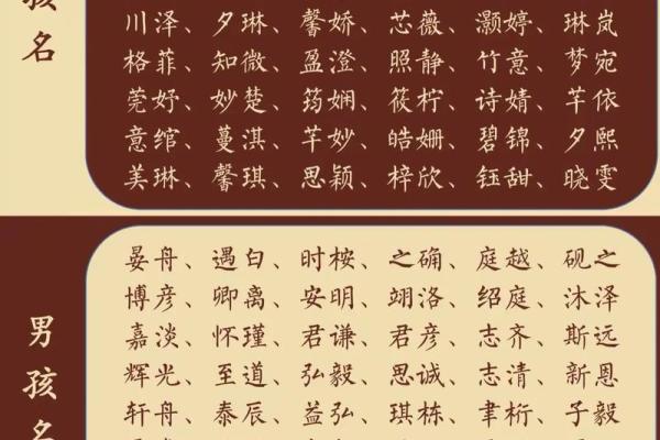 诗经男孩大气有涵养的名字(诗经男孩名字大气文雅)