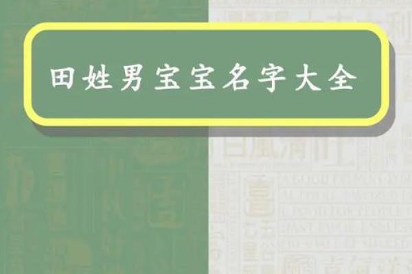 田姓最好听的女孩名字(田姓最好听的女孩名字有哪些)