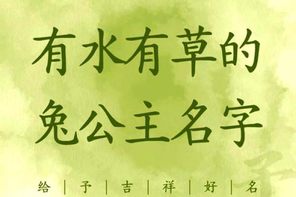 草字头取名男孩名字大全(草字头取名男孩名字大全两个字)