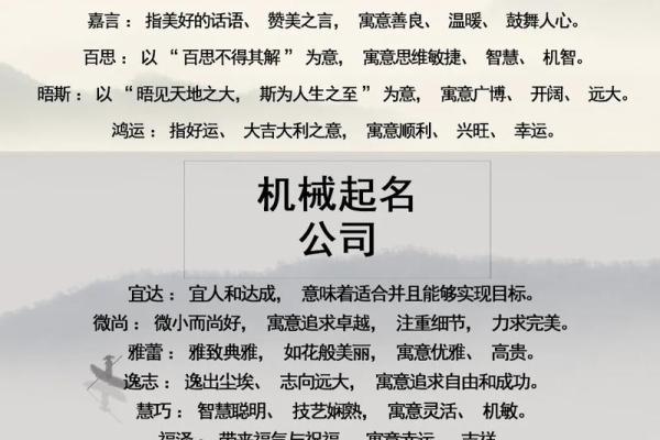 美国公司取名(美国公司取名字参考大全)