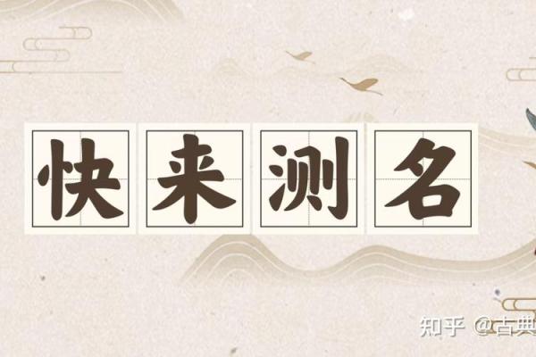 美名腾姓名测试打分免费测名(美名腾免费姓名打分)