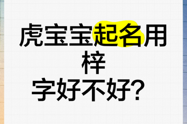 女孩梓字取名字大全(女孩梓字取名字大全四个字)