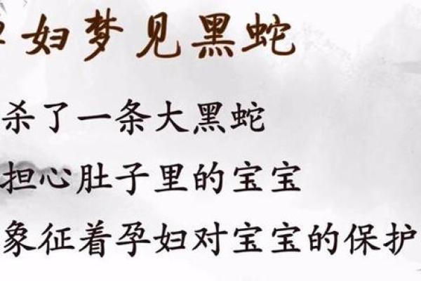 梦见黑蛇是什么预兆 女性(梦见黑蛇是什么预兆 女性解梦)