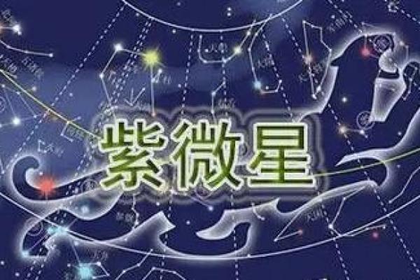 双子座紫微星今日运势(双子座每日运程紫微)