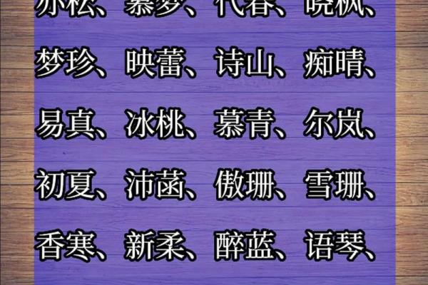 女孩子优雅好听的名字(女孩名字优雅的名字)