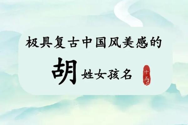 女孩胡姓取名大全(女孩胡姓取名大全2字)