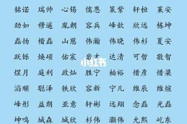 2008年取名字大全男孩(男孩名字2008年名字大全)