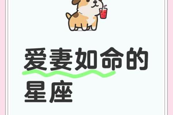 巨蟹座属猪男的命运(属猪巨蟹男的爱情观)