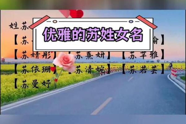 苏女孩名字三个字(姓苏的女孩名字优雅时尚(三个字))