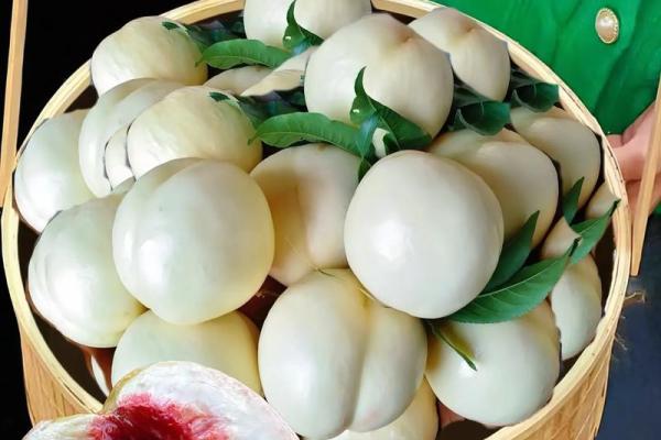 梦见吃桃子(梦见吃桃子是什么预兆)