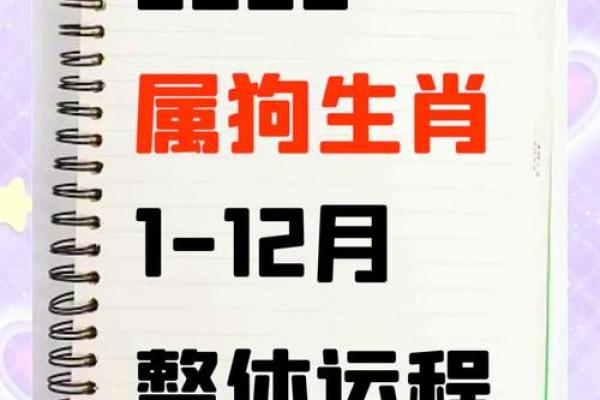 2025年属狗理发黄道吉日(2022年属狗大利月)