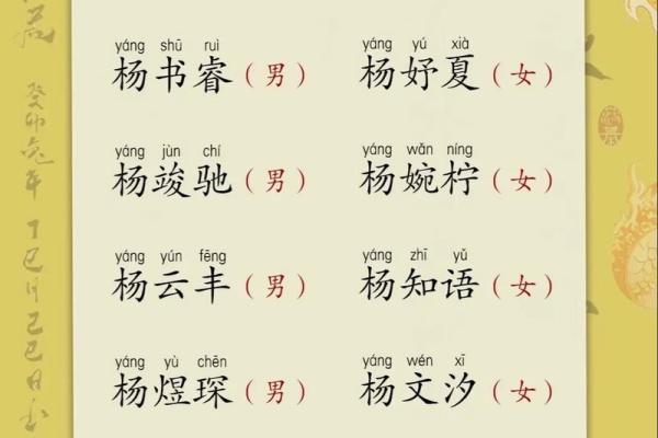 杨姓大气响亮男孩名字(大气的杨姓男孩名字)