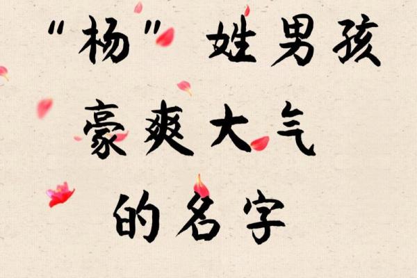 杨姓大气响亮男孩名字(大气的杨姓男孩名字)