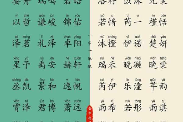 2023年新生女孩取名字大全(2023年新生女孩取名字大全集)