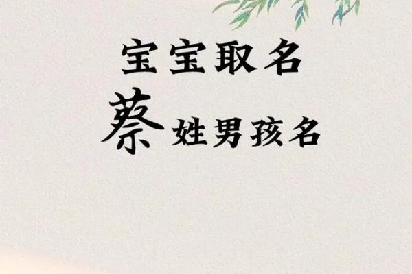 蔡姓取名字大全女孩名字(蔡姓女孩取名有涵养)