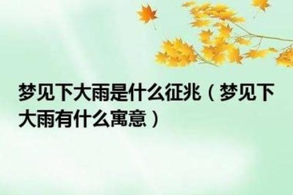女人梦见下大雨财运如何(女人梦见下大雨财运如何周公)