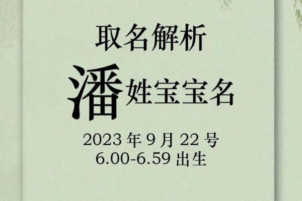 潘氏起名字大全男孩(潘姓男宝宝取名字大全集2021)
