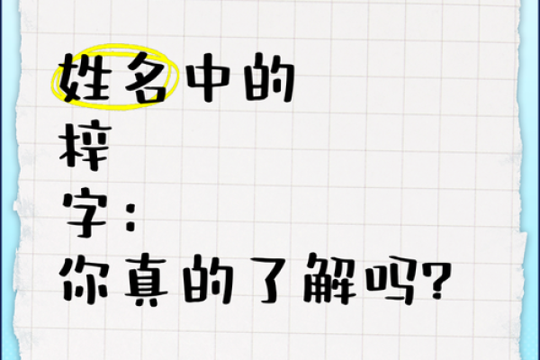 男孩梓字取名字大全(男孩梓字取名字大全两个字)