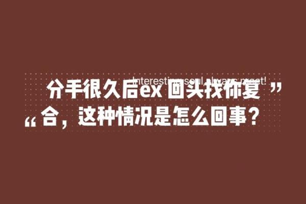 梦到和前任复合了预示着什么(梦到前任是什么意思)