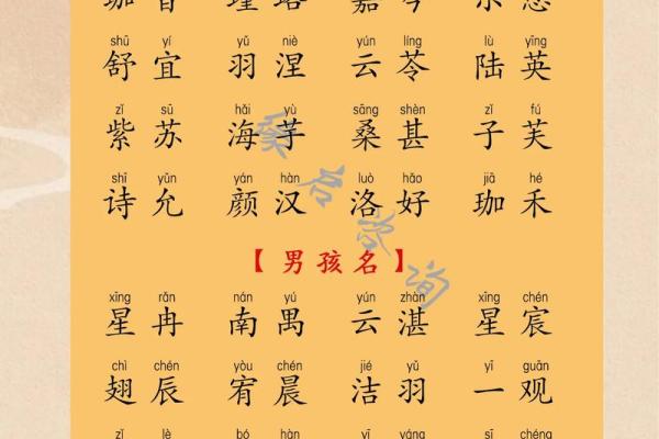 起名字大全免费女孩(起名字大全免费女孩简单)