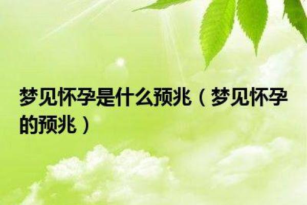 梦见领导是什么预兆(梦见领导是什么预兆 女性解梦)