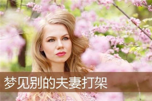 梦见打架见血是什么预兆解梦(梦到打架见血是什么意思周公解梦)