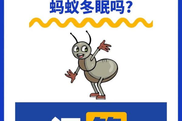 梦见蚂蚁(梦见蚂蚁窝是什么兆头)