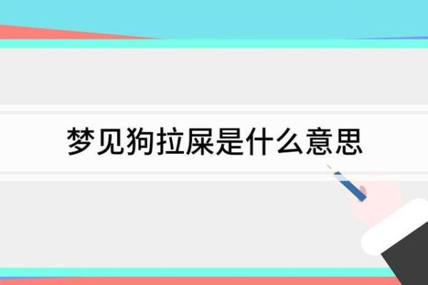 梦见自己拉屎在裤子里是什么意思(梦见自己拉屎在裤子里是什么意思女性)