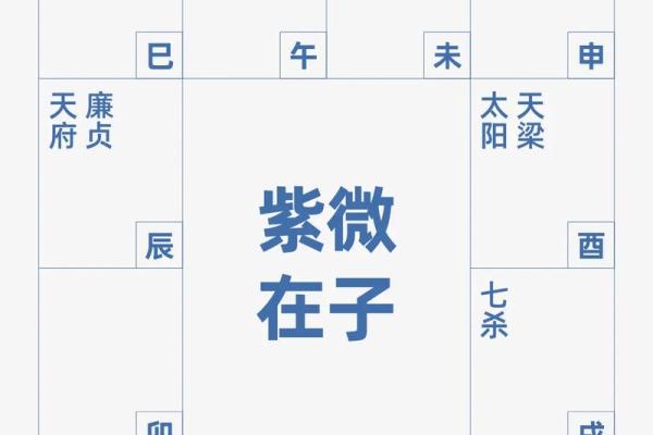 姓名测试紫微黄历(姓名测试 紫薇)