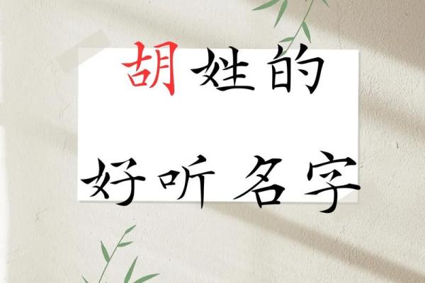 胡姓女孩气质高雅名字大全(胡姓女孩气质高雅名字大全两个字)
