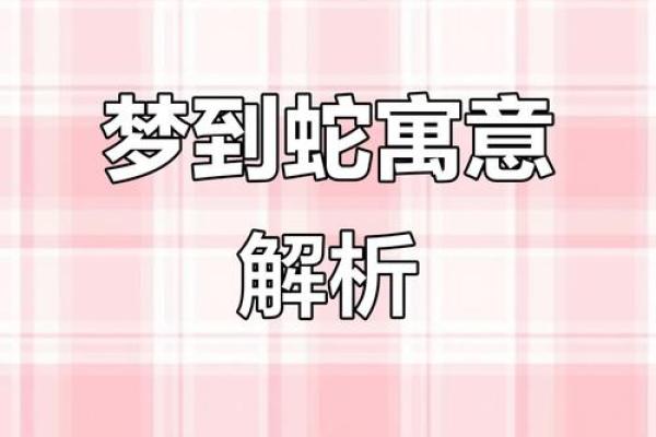 梦见被毒蛇咬了是什么预兆(梦见被毒蛇咬了是什么预兆并打死毒蛇)