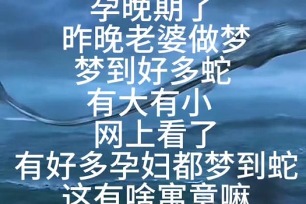 梦到大蟒蛇是什么征兆 女性(孕妇梦到大蟒蛇是什么征兆 女性)