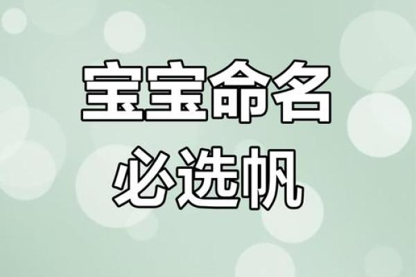 用帆字起公司名称(帆 起名)