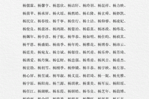 杨姓男孩大气有涵养的名字(杨姓男孩大气有涵养的名字属蛇)