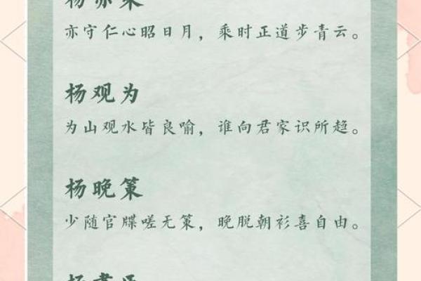 杨姓男孩大气有涵养的名字(杨姓男孩大气有涵养的名字属蛇)