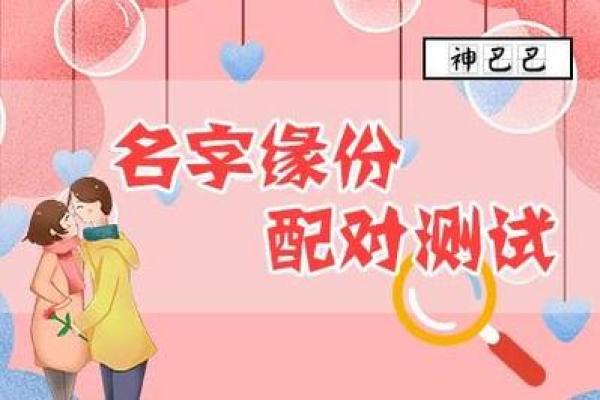 美名腾姓名测试打分免费测名测名(美名腾测名网)