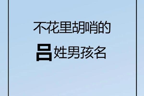 吕姓取名字大全女孩(2021年吕姓取名字大全女孩)