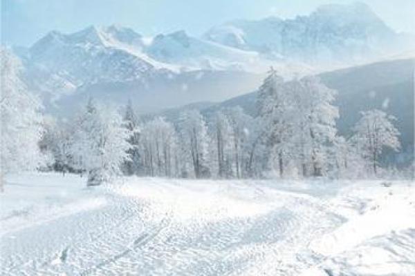 梦见下雪(梦见下雪了是什么征兆 周公解梦)