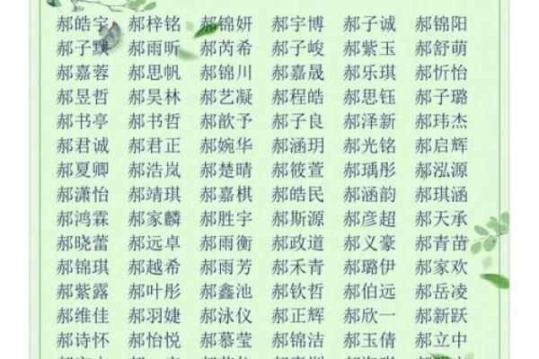 免费取名字大全免费男孩(取名字大全免费男孩三个字)