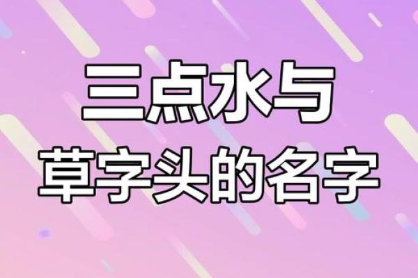 草字头和三点水的男孩名字大全集(草字头三点水最吉利的字男孩)