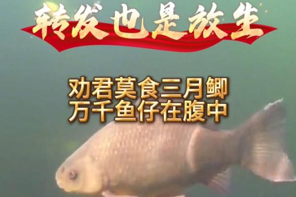 梦见吃鱼是什么预兆 男性(梦见吃鱼的吉凶)