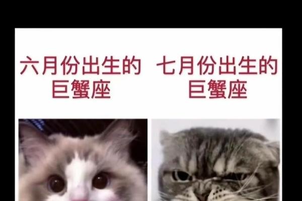 巨蟹座七月份的爱情运势(巨蟹座七月份的感情运势)