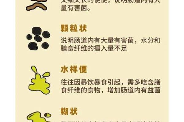 女人梦见拉屎,并看到屎(女人梦见拉屎,并看到屎 旁边有人看着)