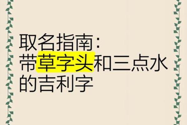 女孩草字头吉利的名字(女孩草字头吉利的名字属马)