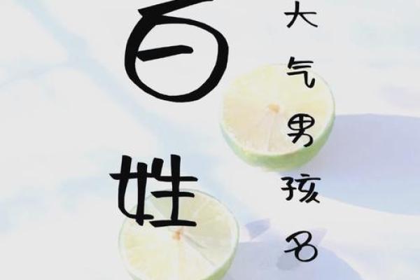 白起名字女孩三个字(姓白起名字三个字女孩)