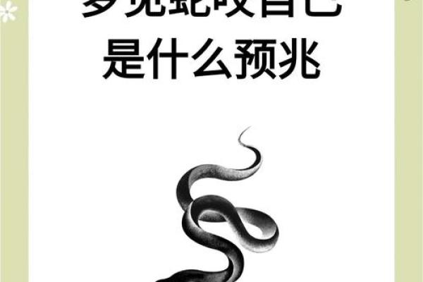 晚上梦见蛇是什么预兆(晚上梦见蛇是什么预兆)
