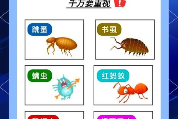 梦见很多虫子(梦见很多虫子钻进皮肤我又拽出来了)
