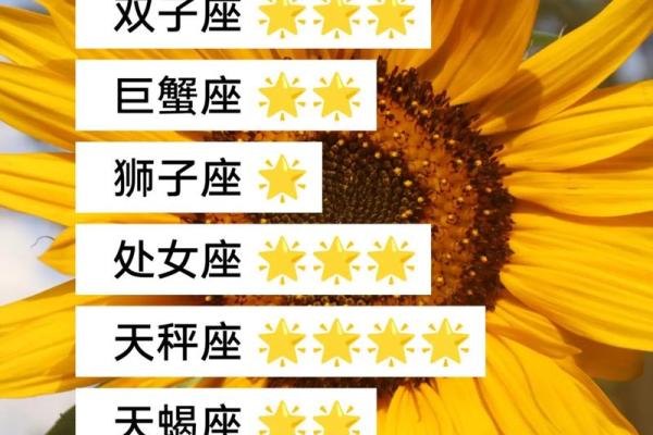 巨蟹座最新今日运势紫微黄历查询(巨蟹座今日运势查询_水墨先生)