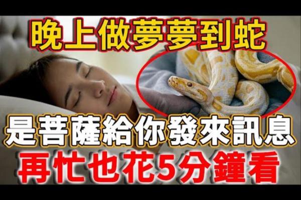 梦见蛇是什么预兆男人(连续梦见蛇是什么预兆男人)