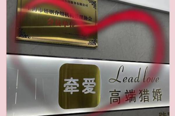 婚恋公司取名(婚恋公司取名字有内涵)